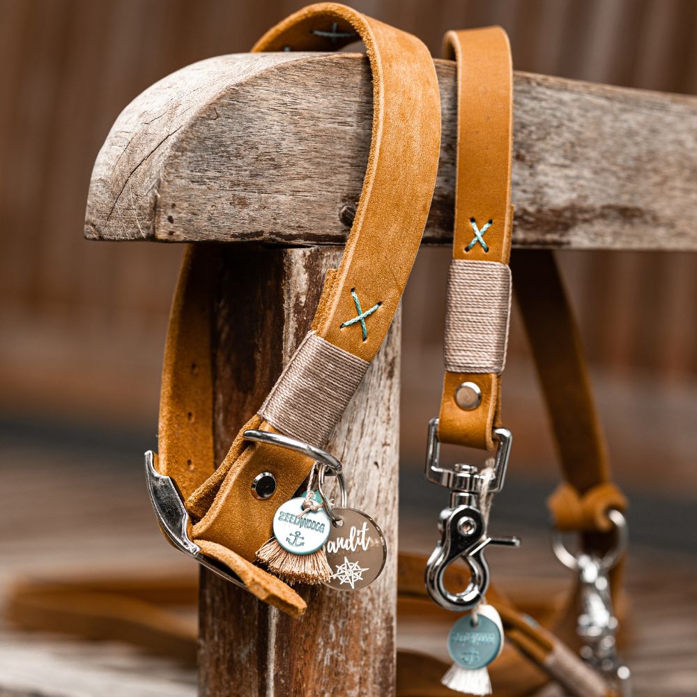 Leather - Collars & Leashes