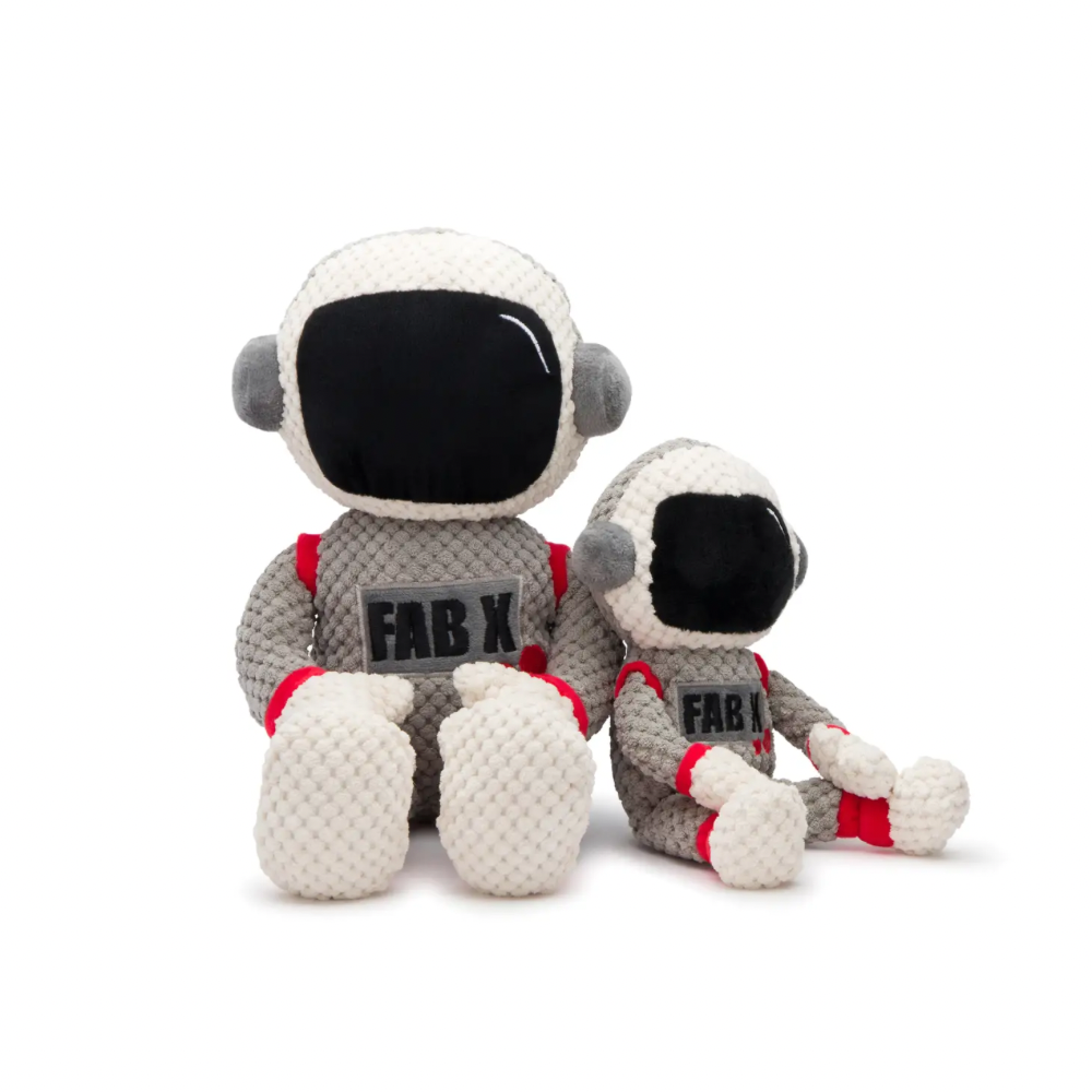 Kleine astronaut