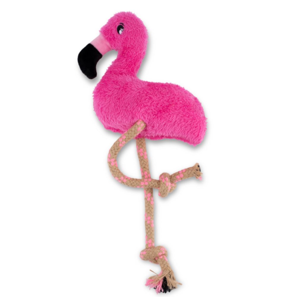 Fernando der Flamingo