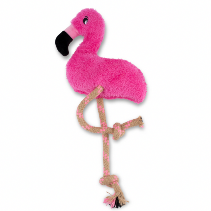 Fernando der Flamingo