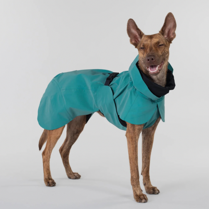 Sterk reflecterende hondenregenjas Visibility / Emerald