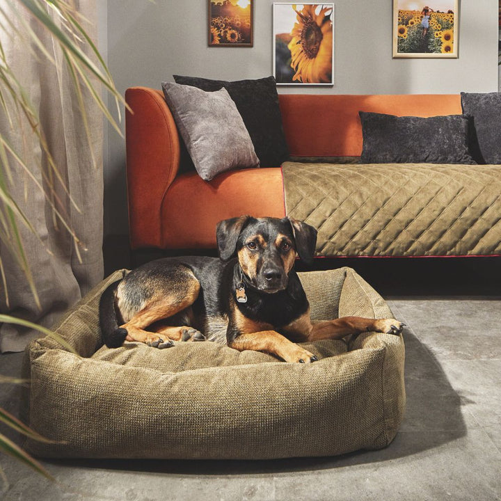 Dog bed Tudor