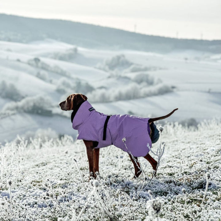Manteau d'hiver hautement réfléchissant Visibilité / Violet
