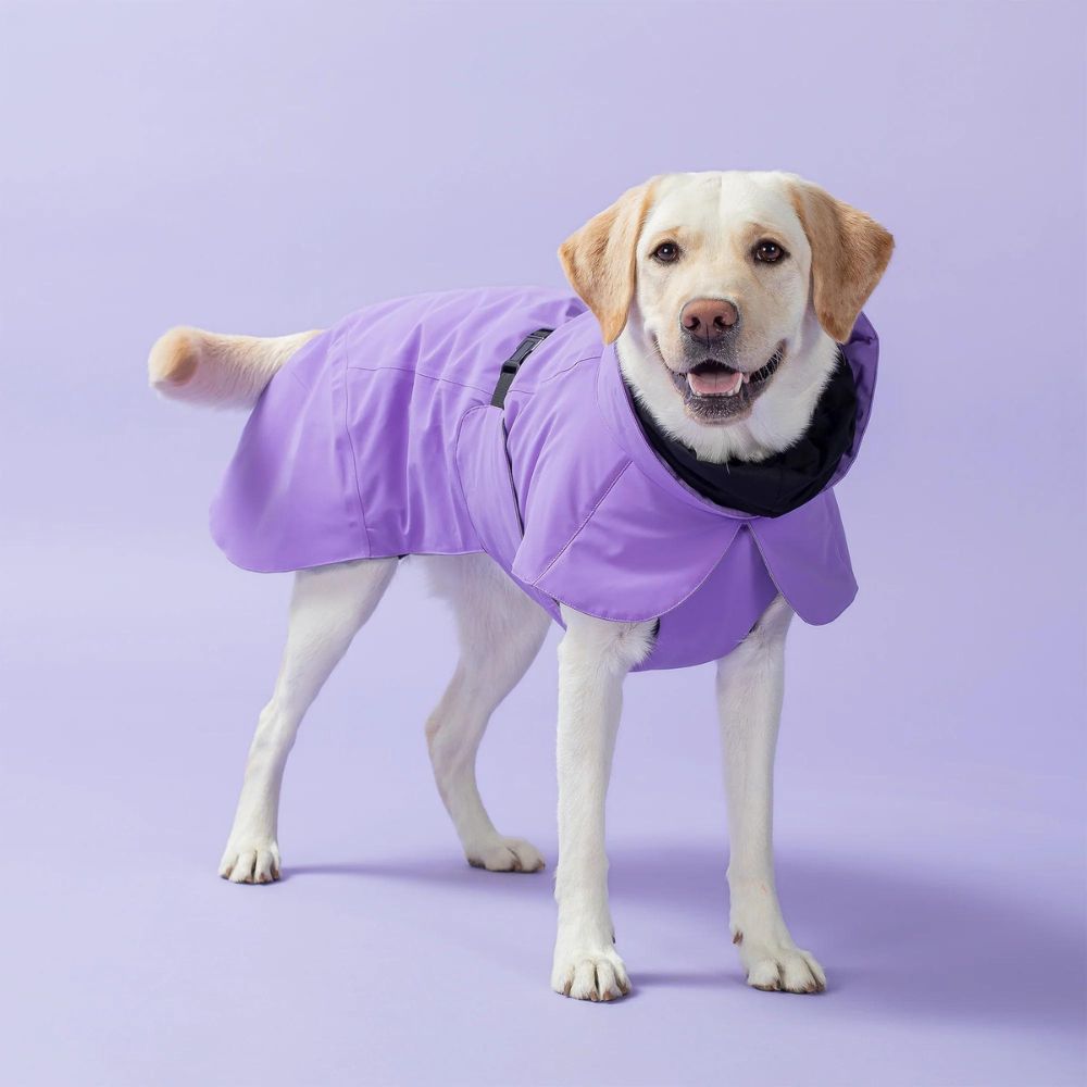 Highly reflective winter coat Visibility / Purple