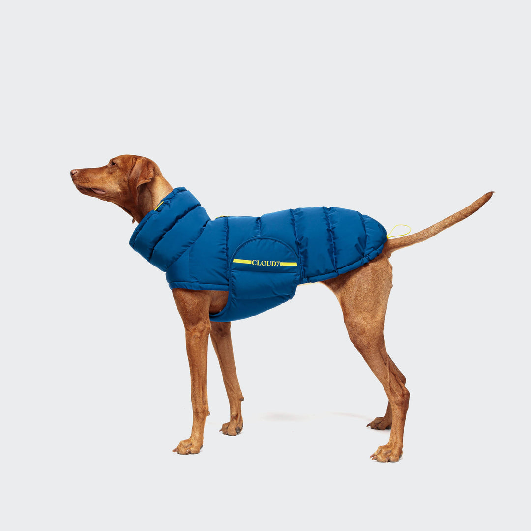 Cappotto invernale per cani Alaska Blu
