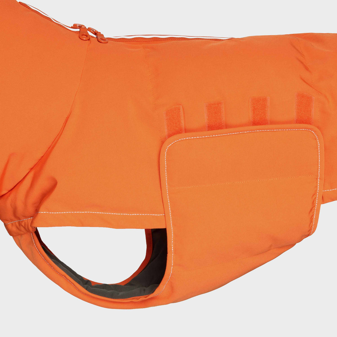 Cappotto per cani arancione Yukon ❤️ Vizsla Coopers preferito ❤️