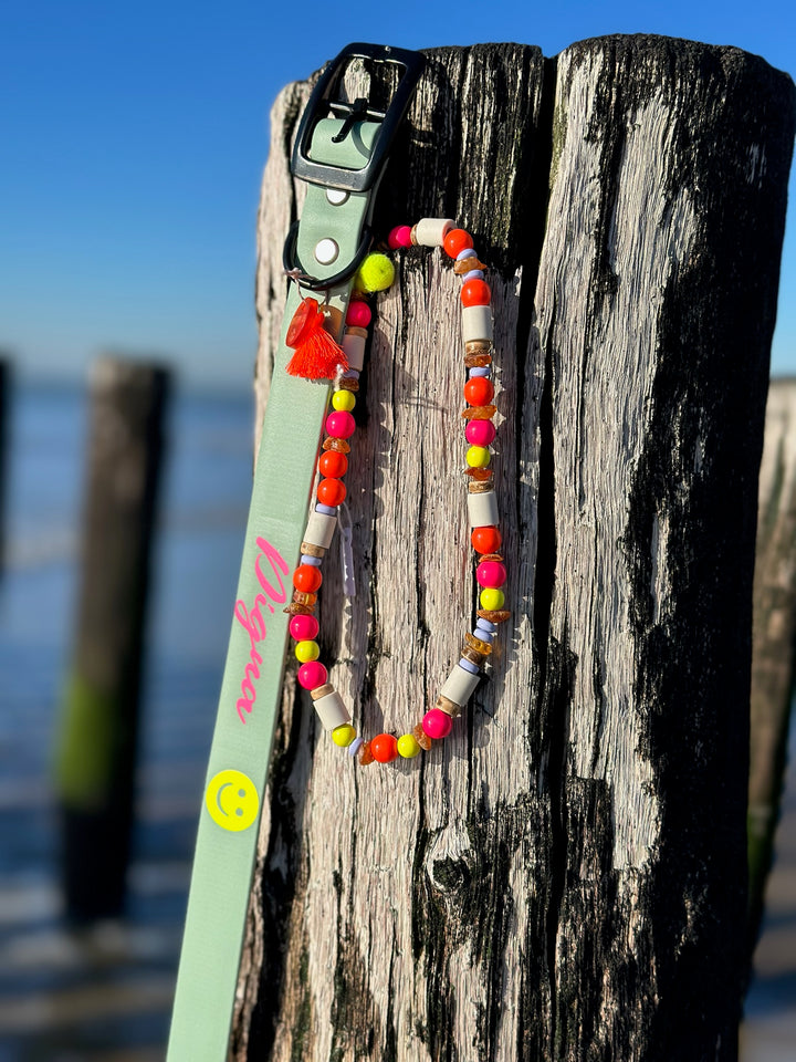 Zeeland Dog necklace with EM ceramic Hippie Neon