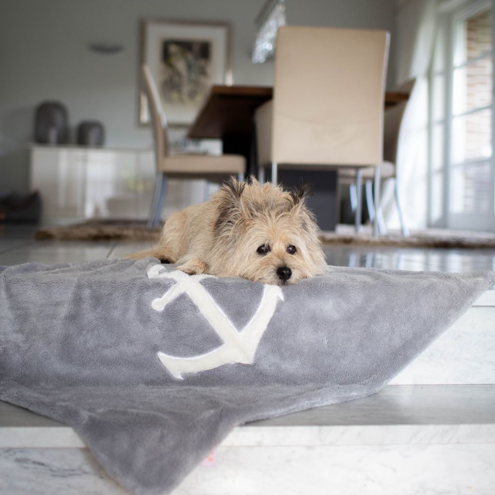 Dog blanket with anchor grey