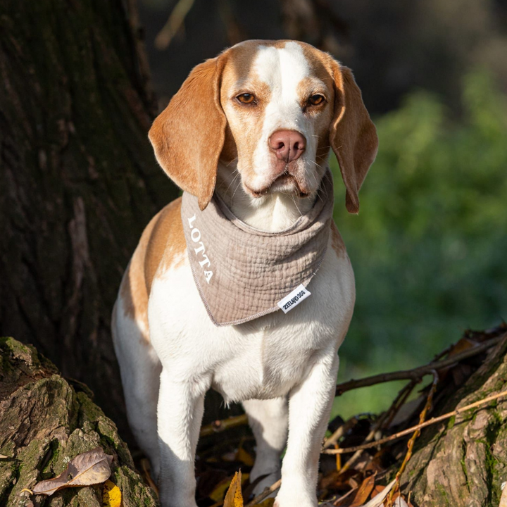 Personalisiertes Halstuch für Hund und Mensch