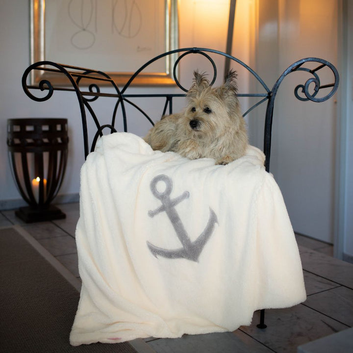 Dog blanket with anchor cream