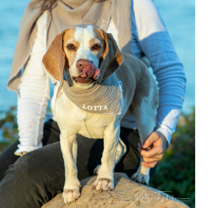 Personalisiertes Halstuch für Hund und Mensch