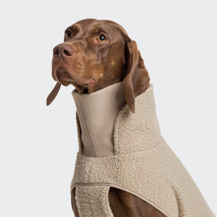 Hondensweater Gotland Beige