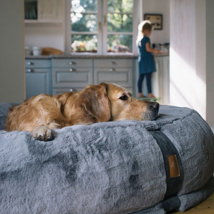 HYGGEBED® - THE ORTHOPEDIC DREAM DOG BED XXL
