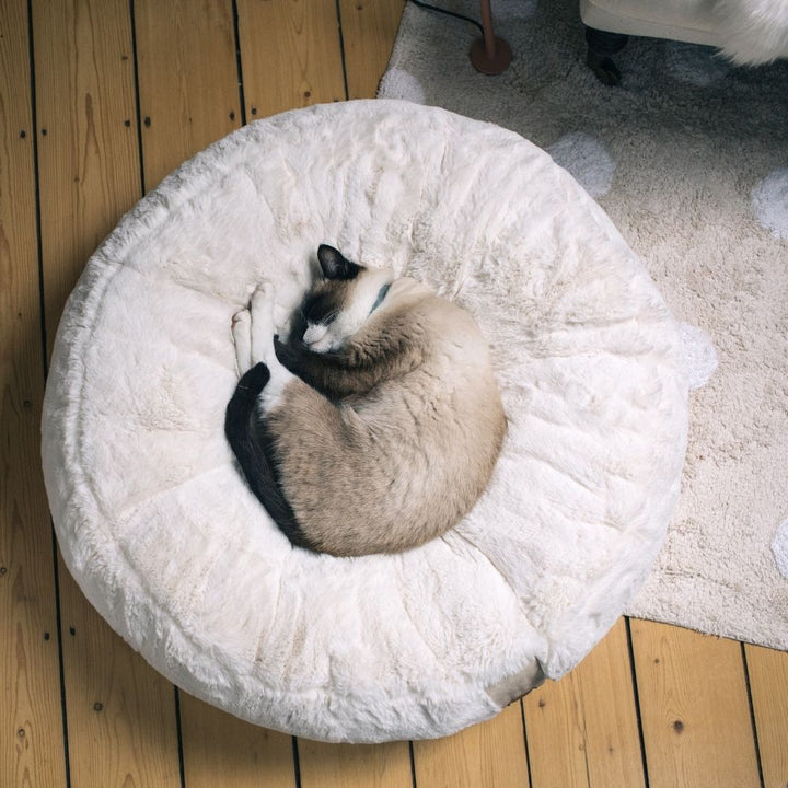 HYGGEBED 4 Cats Ivory S