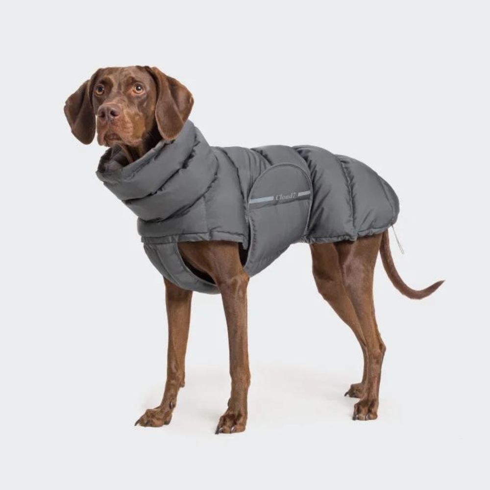 Dog coat Alaska anthracite