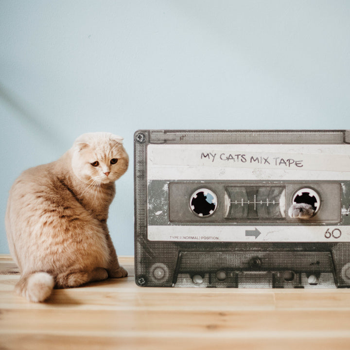 Krabmeubels Cats Mixtape