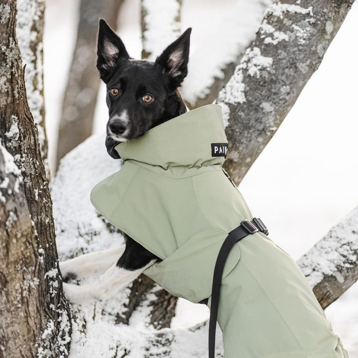 Giacca invernale per cani altamente riflettente verde