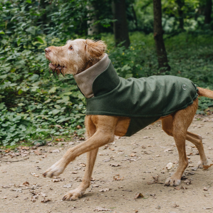 Brooklyn Flannel Dog Coat Fern Green