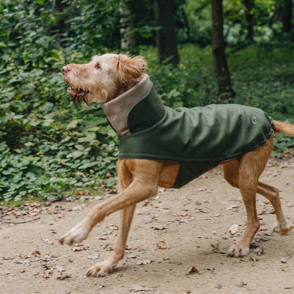 Cappotto per cani Brooklyn Flanella Verde Felce Bassotto
