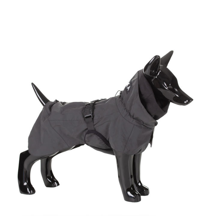 Sterk reflecterende hondenregenjas Zichtbaarheid / Zwart