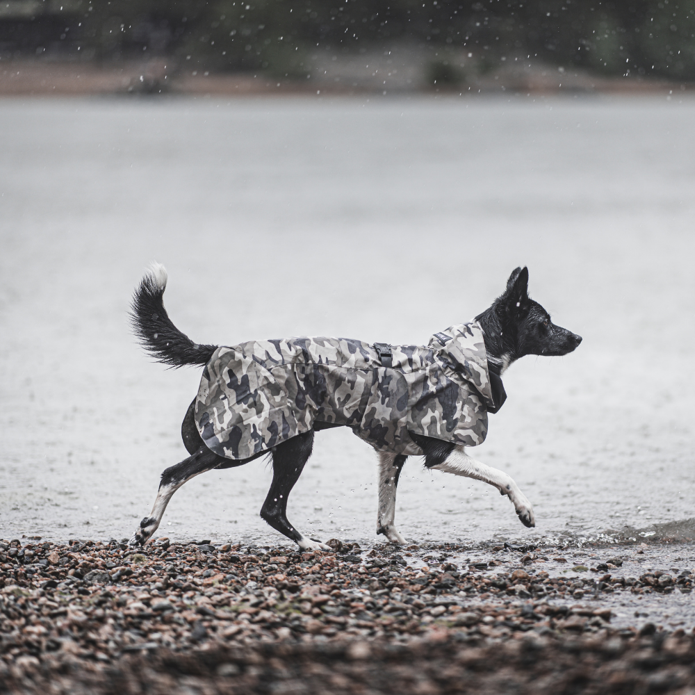 Highly reflective dog raincoat recovery / camouflage
