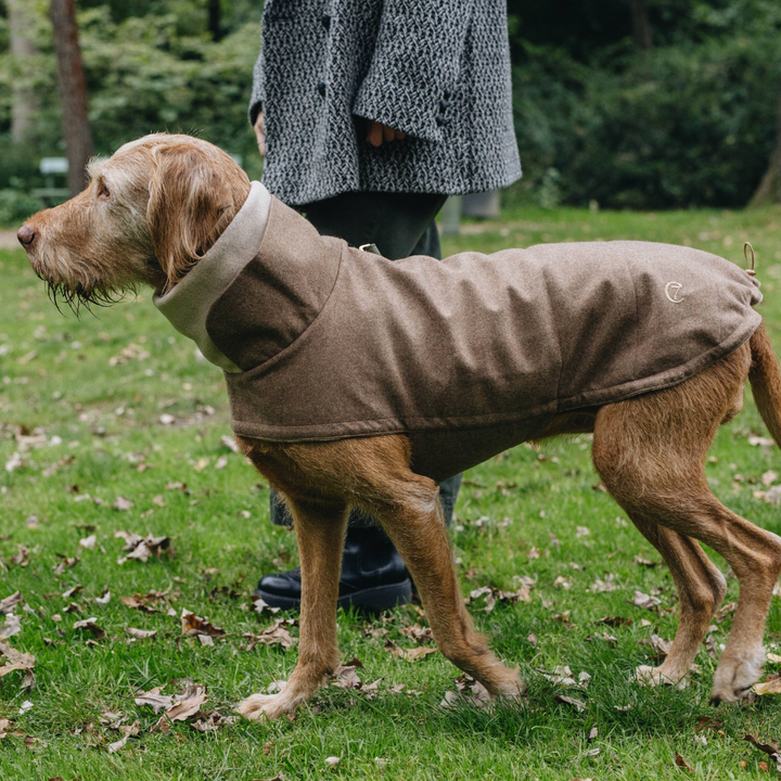Manteau pour chien Bouledogue noisette en flanelle de Brooklyn