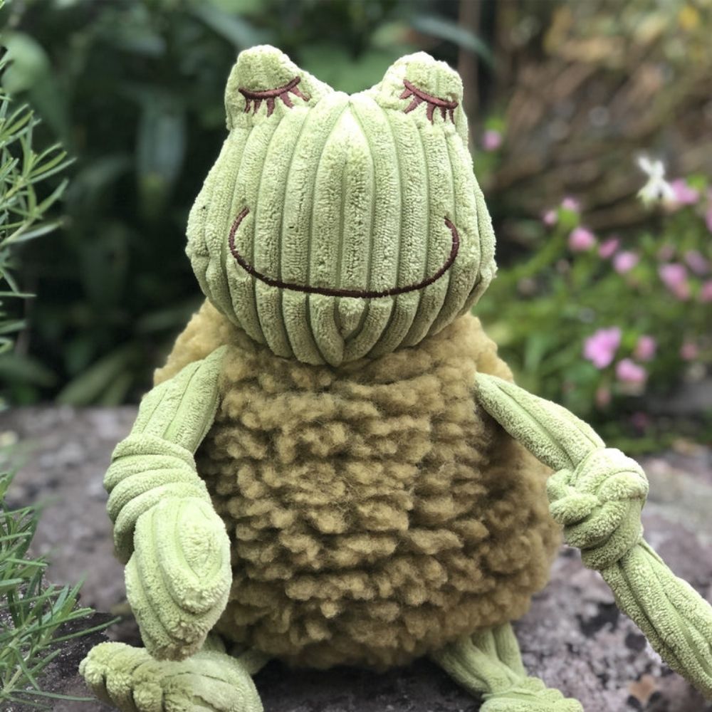 Fiona Frog