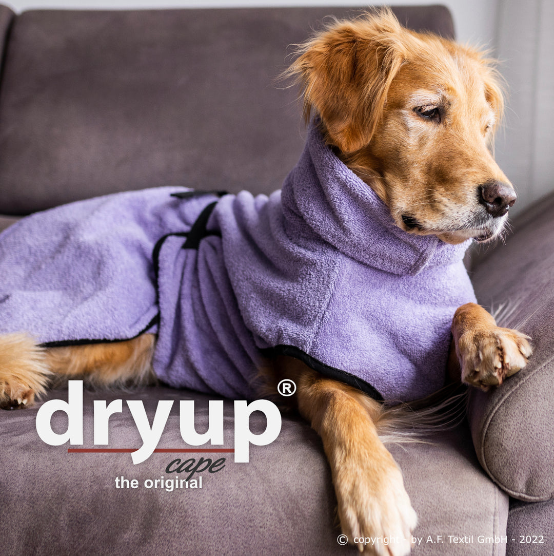 Dog bathrobe lavender