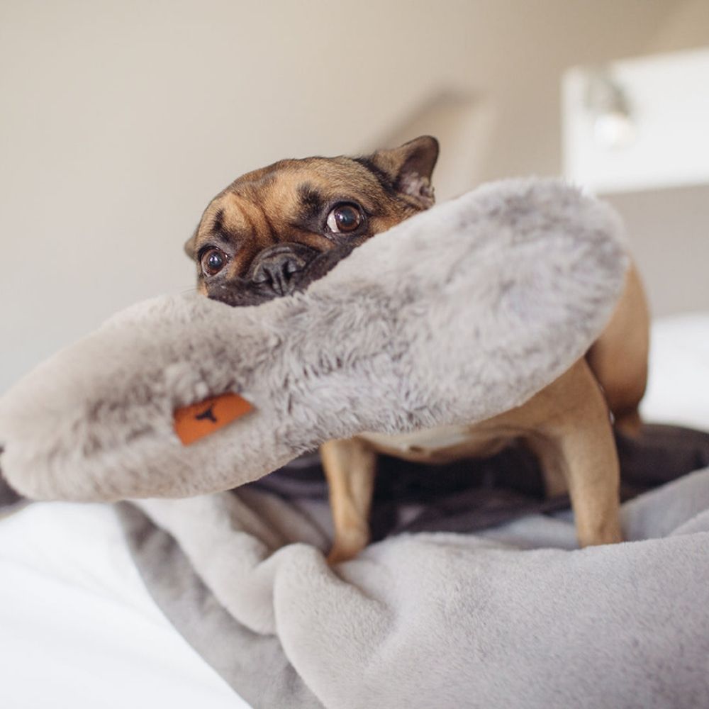 Pillows and cuddle pillows for dogs HYGGEHEART® & HYGGEBONE®