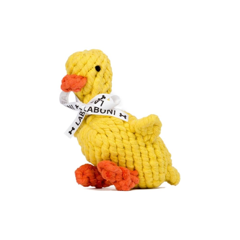 Emma duck - freshly hatched