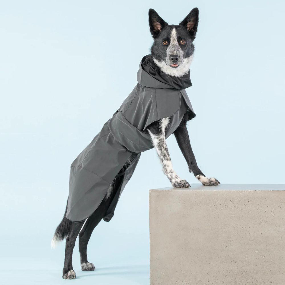 Veste d'hiver pour chien hautement réfléchissante noire
