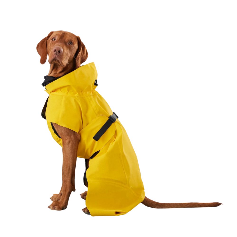 Highly reflective dog raincoat Visibility / Yellow