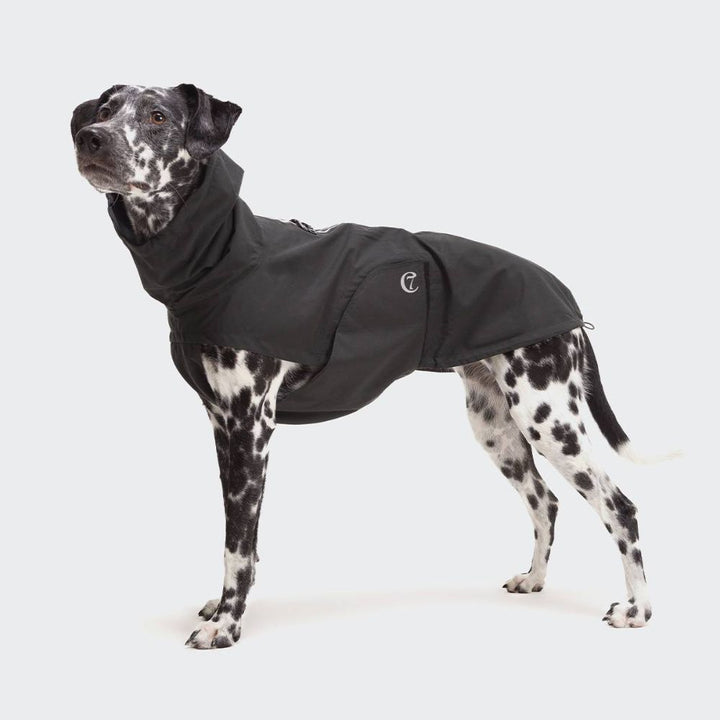 Dog raincoat Dublin Slate