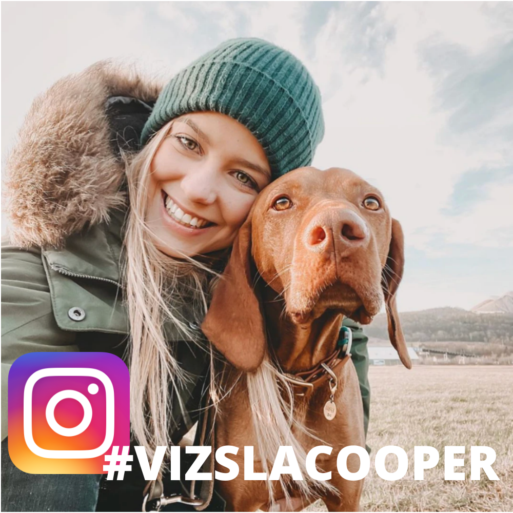 Laisse ZEELAND DOG Retriever #VIZSLACOOPER