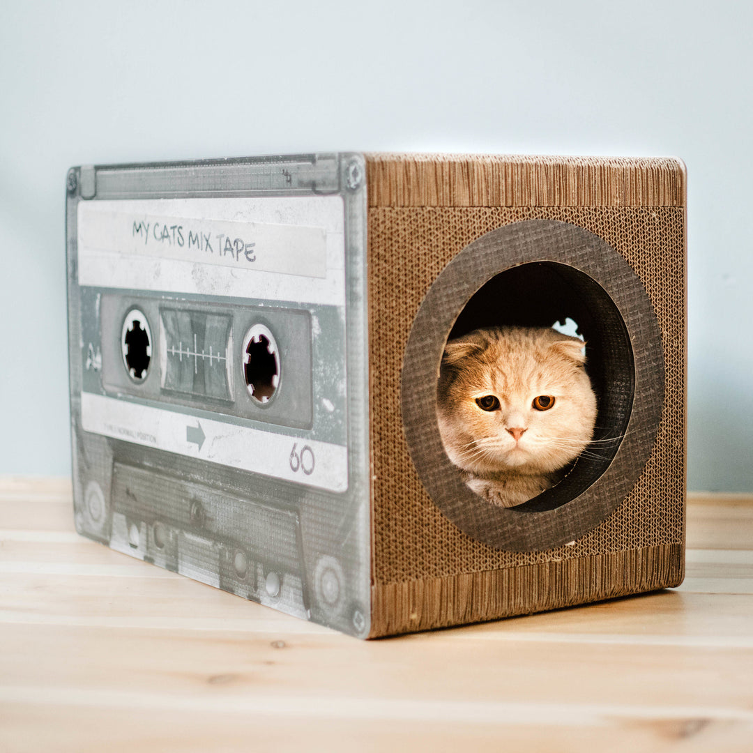 Scratching furniture Cats Mixtape