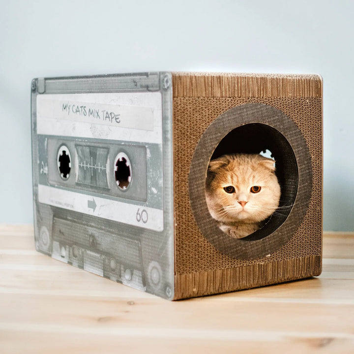 Kratzmöbel Cats Mixtape
