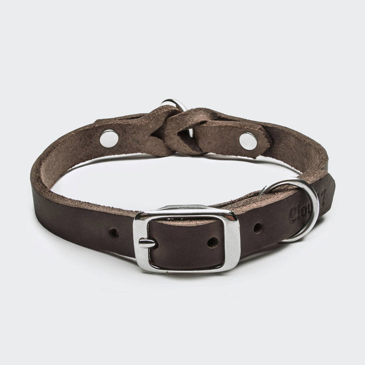 Riverside Park Saddle Brown dog collar