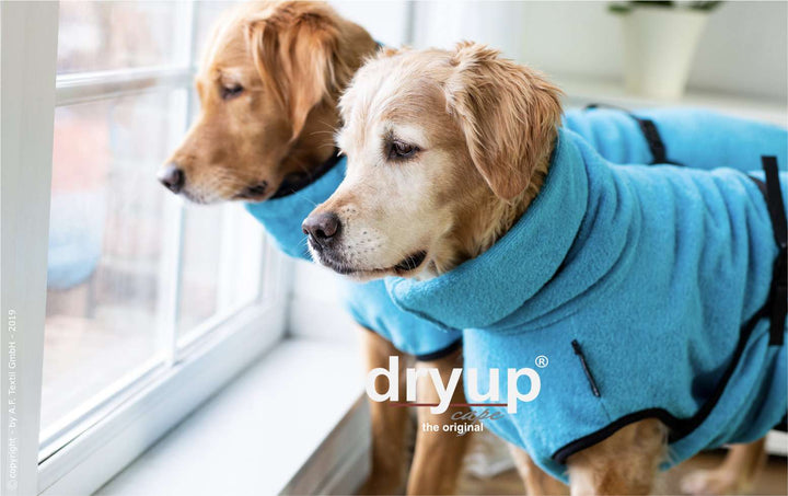 Dog bathrobe turquoise