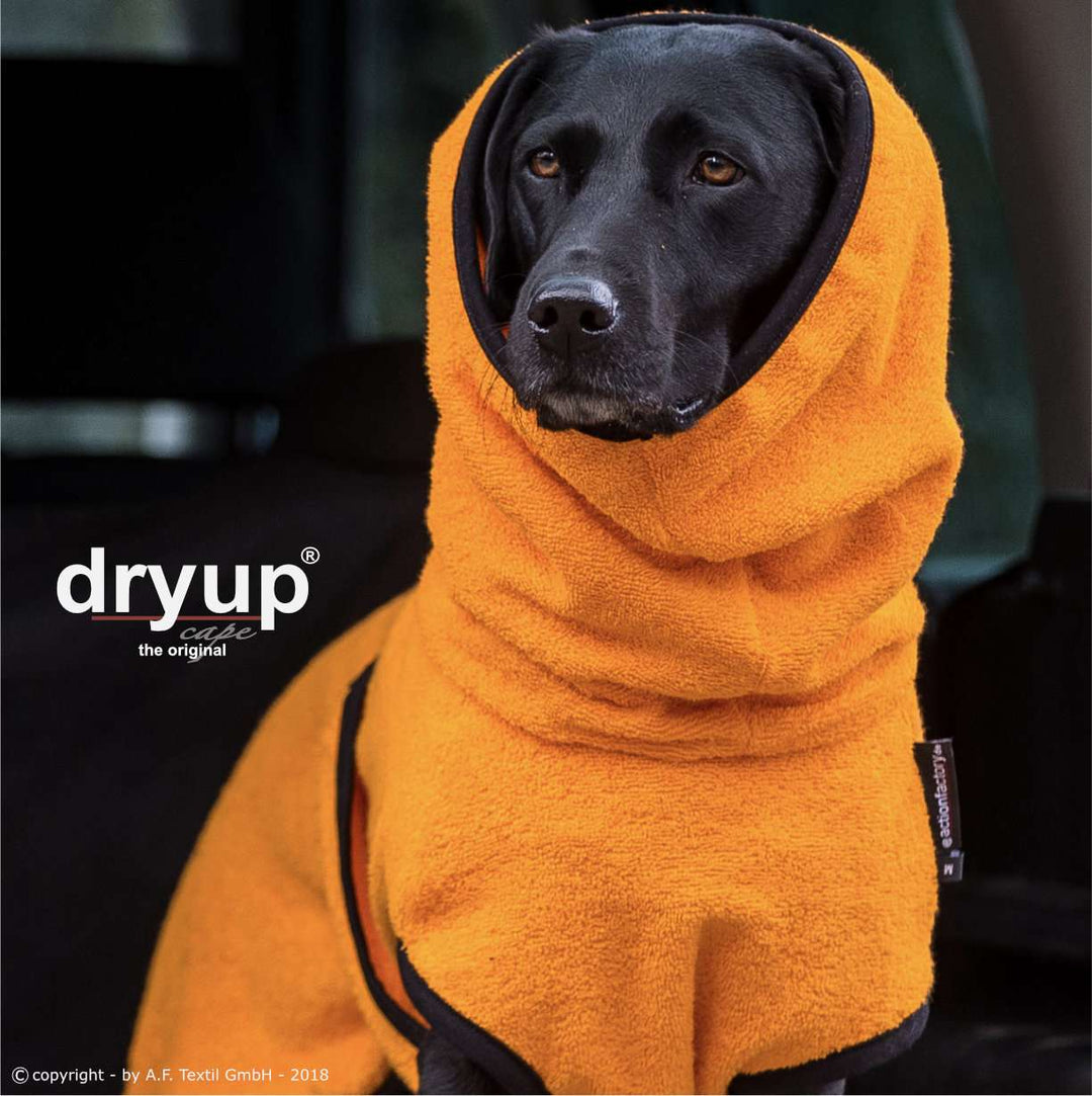 Peignoir chien orange