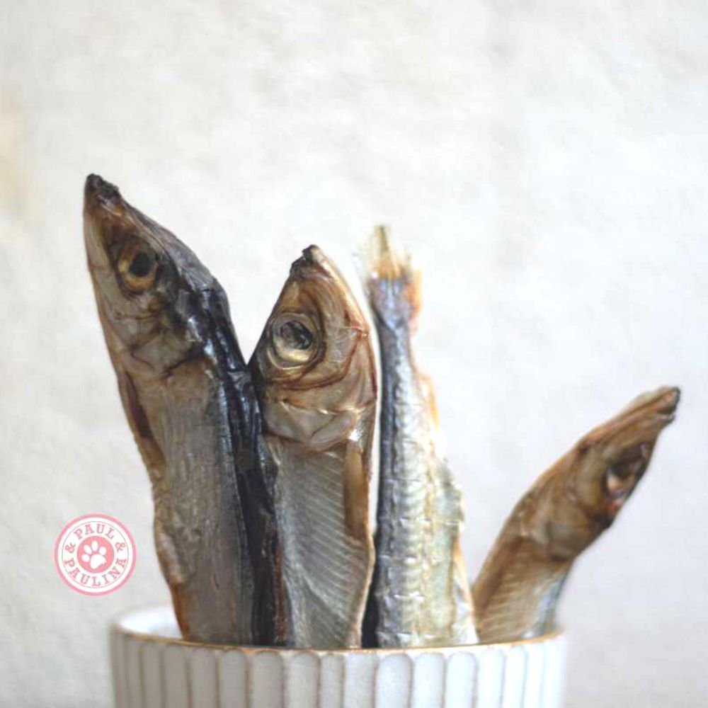 Air-dried herring