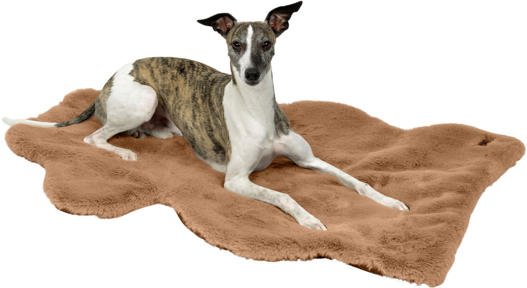 Dog blanket "MAROON" 3