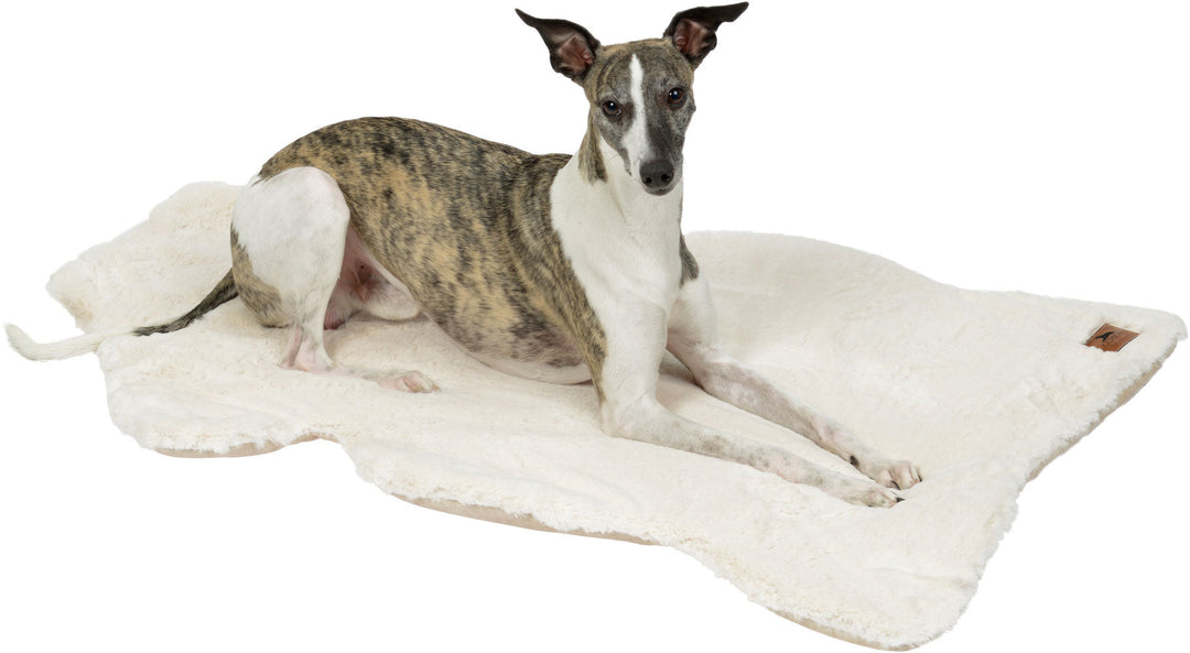 Dog blanket "IVORY" 3