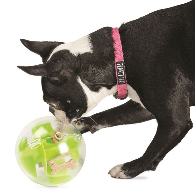 Planet Dog Mazee intelligence toy