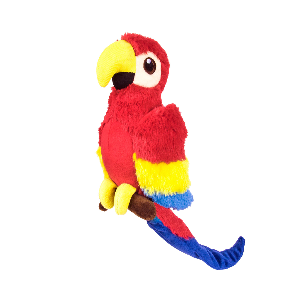 Parrot Paula