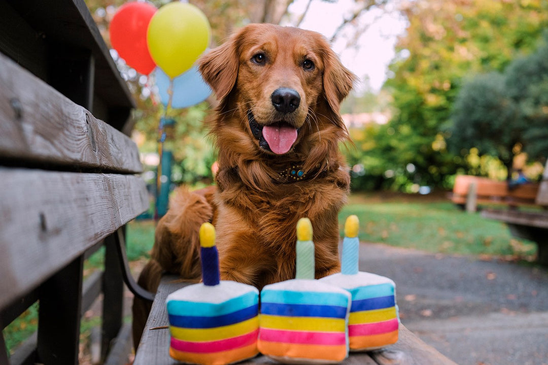 Dog biscuits * must-have for a birthday *